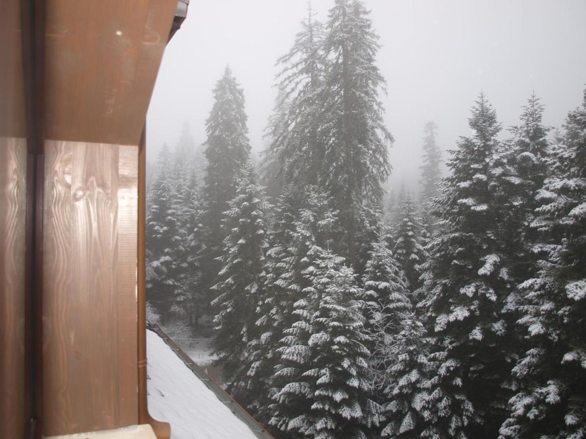 Borovets Forest View Exterior foto